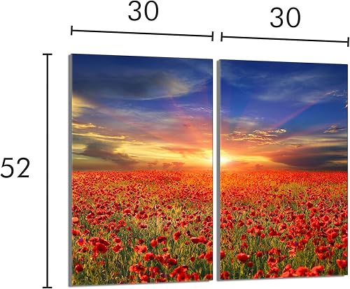 DarHaus Couvercle pour plaque de cuisson universelle en céramique, à induction, Planche à découper en verre 40 x 30 cm, protection anti-éclaboussures, plaque en verre, cuisine, Paysage Coquelicots - Nail Gallerys