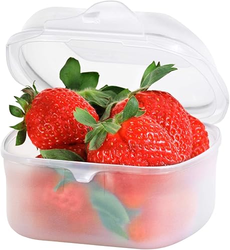 Rotho Fun Boîte de vesper 0,45l avec fermeture à clic, Plastique (PP) sans BPA, transparent, 0.45l (11.5 x 11.0 x 6.5 cm) - Nail Gallerys