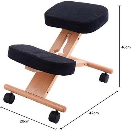 OR8 Chaise orthopédique professionnelle ergonomique pour correction des douleurs au dos et au cou Hauteur réglable Bonne posture Cadre confortable Tabouret pour siège de maison et bureau avec rouleau - Nail Gallerys
