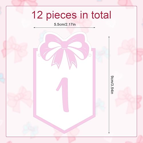 Gosknor Bannière Photo avec Nœud pour 12 Mois, Bannière de Croissance avec Nœud Rose Guirlande de Jalons Mensuels Décorations pour Premier Anniversaire pour Bébé de la Naissance à 12 Mois - Nail Gallerys