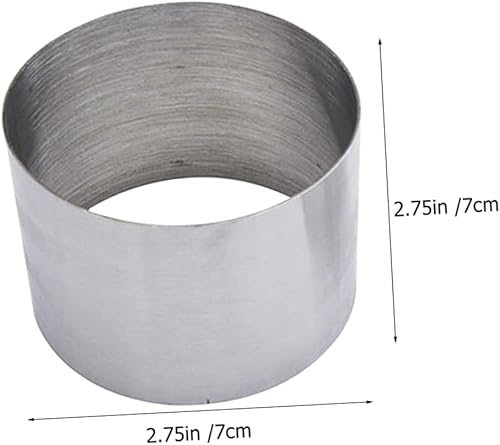 POPETPOP Disqueur Acier Inoxydable Presseur pour Cuisson Dressage Professionnel des Plats - Nail Gallerys