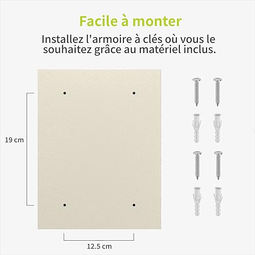 ACROPAQ - TS42 Boite à clefs - Crochets réglables, Verrouillable, avec 2 clés, pour l'extérieur - Armoire a Clef, Placards à clés - Blanc - Nail Gallerys