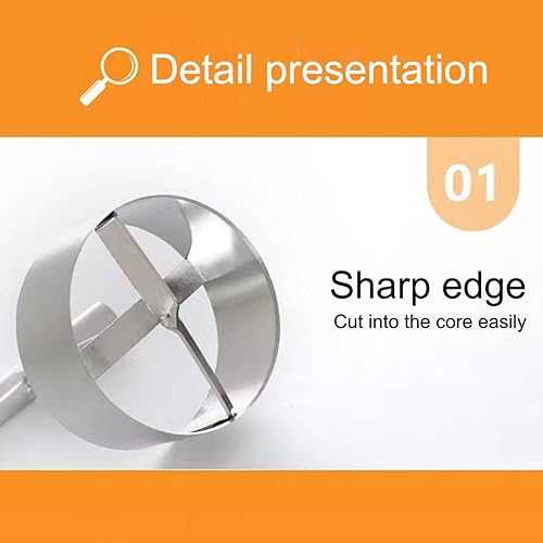 RANRAO Outil de séparation de noyaux de fruits, outil de cuisine multifonction en acier inoxydable - Nail Gallerys