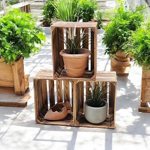 teramico Lot de 3 caisses à Fruits flammées - Caisses à vin - Caisses en Bois - Décoration Vintage - Nail Gallerys