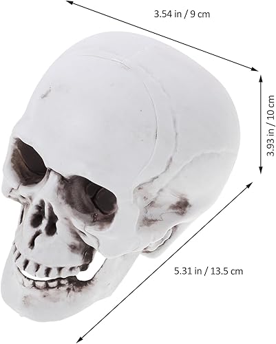 Abaodam 4 Pièces Crâne Humain Décor De Crânes d'halloween Têtes De Mort pour Halloween Ornement De Fête d'halloween Artisanal Statue De Maison De Crâne Modèle De Crâne Photo Squelette - Nail Gallerys