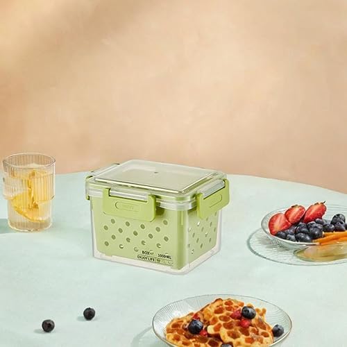 DimyFew Récipient hermétique à Fruits pour réfrigérateur, bac de Stockage avec égouttoir, Solution de Conservation des Aliments, 16x13x12.5cm - Nail Gallerys