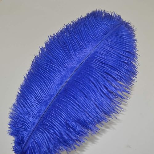 Sowder Lot de 10 plumes d’autruche pour décoration d'intérieur, mariage 30 à 35 cm - Nail Gallerys