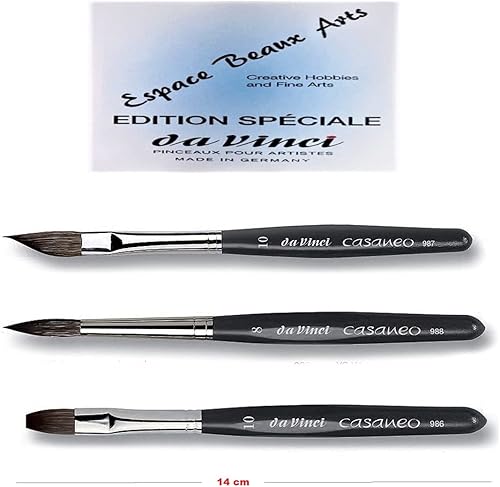 da Vinci casaneo Series 987 Size 10 Série 988 Taille 8 Série 986 Taille 10 Pinceau aquarelle - Nail Gallerys