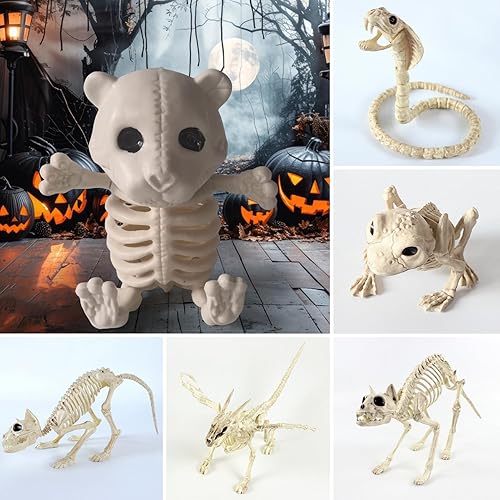 gibxiyza Décoration d'Halloween - Mini squelette en os articulé - Rat - Chien araignée - Chat - Hibou - Figurine pour maison hantée - Décoration de fête d'Halloween - Extérieur et intérieur - Nail Gallerys