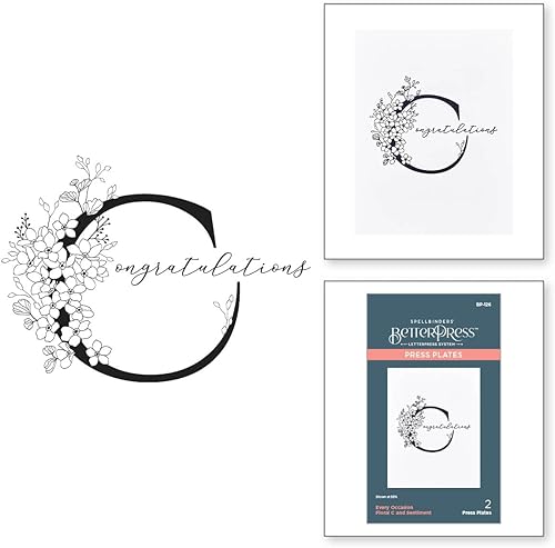 Spellbinders Toutes Les Occasions Floral C et Sentiment Plaque de Presse, métal, Un - Nail Gallerys
