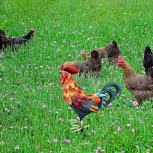Sculpture de coq en métal - Décoration de jardin - Ornement de coq debout - Coq - Statue d'extérieur de poulet Animaux pour décorations extérieure pour Jour de l'indépendance - Nail Gallerys