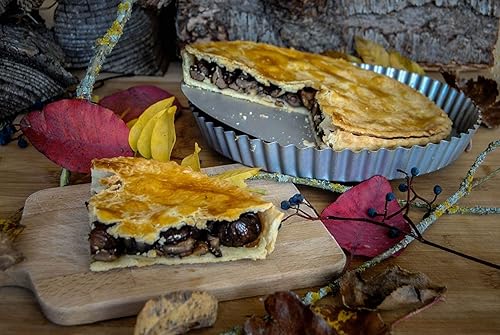 patisse 03574 – Moule à tarte ou quiche rond - Tourtière - anti-adhésif à fond amovible Silver-Top - gris argenté – Ø 24cm - Nail Gallerys