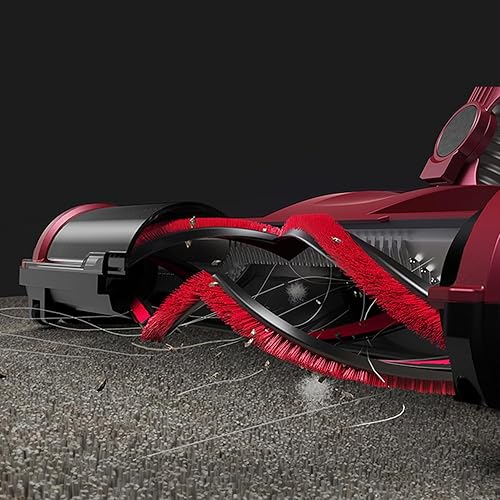 Vexilar Rouleau brosse de rechange compatible avec aspirateur C8 avec câble, brosse principale pour différentes surfaces - Nail Gallerys