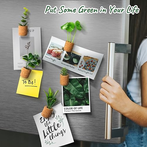 JUSTDOLIFE Aimants de réfrigérateur pour Plantes succulentes artificielles - Aimants de réfrigérateur pour Plantes succulentes en Pot - Autocollants Mignons pour Tableaux magnétiques, réfrigérateur - Nail Gallerys