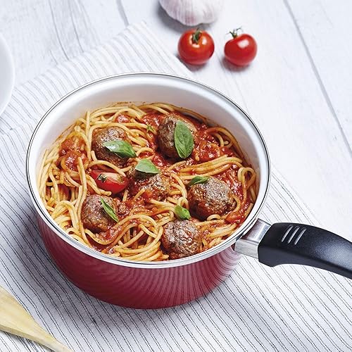 Lot de 5 CASSEROLES Email rouge Vermillon 12/14/16/18/20 cm, tous feux dont induction - Nail Gallerys