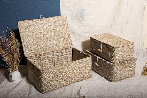 YSGLIFE Panier de Rangement Rectangulaire Tissé à la Main avec Couvercle, Boîte Naturelle pour étagères à Livres, Organisateur de Maquillage Multifonctionnel, Lot de 3 (Beige Blanche, P/M/G) - Nail Gallerys