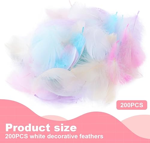 LuLiyLdJ Deco Plume, Plumes décoratives Plumes duveteuses décoratives d'oiseaux Naturelles pour DIY Bricolage Décoration Pâques Noël Figure décorative Loisirs créatifs Mariage, 200 pièce - Nail Gallerys