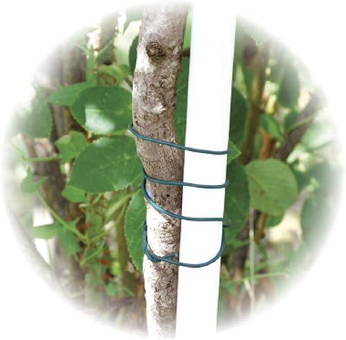 Ribiland 04669 - Lien pour Végétaux 8 m - Diamètre 3,5 mm - Vert - Nail Gallerys