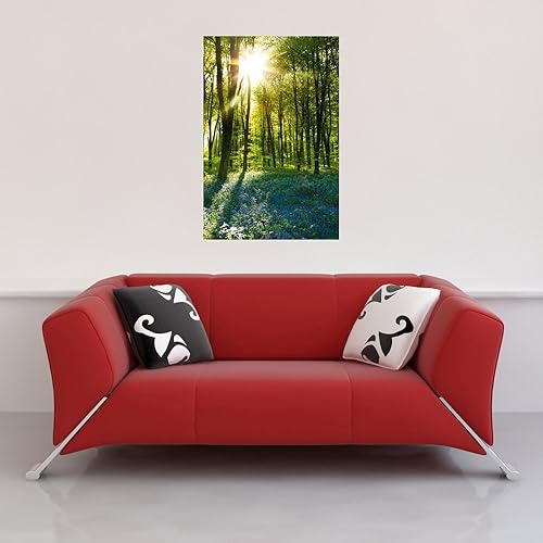 Empire Interactive Poster Motif Lever de Soleil dans Les Bois avec jacinthes Sauvages Inclus Accessoires d'encadrement Multicolore - Nail Gallerys
