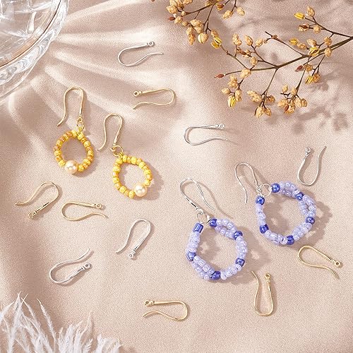 PH PandaHall 20pcs Crochets de boucle d'oreille hameçon, Fil d'oreille français plaqué or 18 carats 2 couleurs Composant de boucle d'oreille en laiton, doré/platine - Nail Gallerys