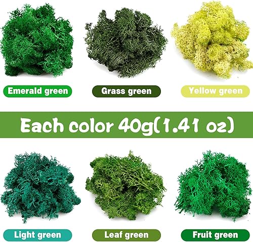 Mousse de Renne, Mousse Préservée, Mousse Artificielle Décoration, Mousse Séchée pour Décorations, Peintures de Mousse, Murs de Mousse, Artisanat et Fleurs et Pièces de Noël, 240g, 6 Couleurs - Nail Gallerys