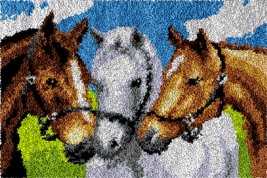 Laegnfho Kit de Tapis de Crochet à Point Noué Set Tapis à Point noué Loquet Bricolage, Création de Tapis à Crocher pour Adultes, Patron Imprimé Kit de Tapis de Crochet à Point Noué 80 x 115 cm - Nail Gallerys