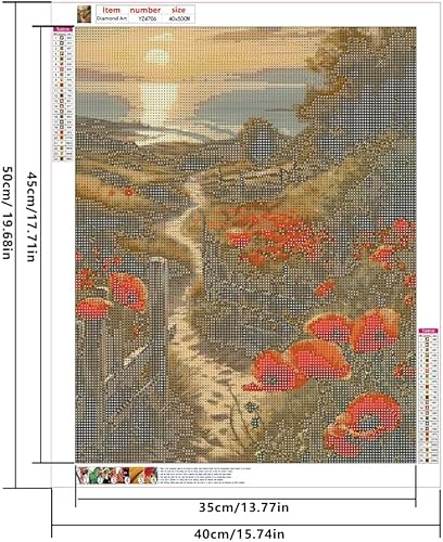 DCIDBEI Peinture au Diamant Chemin de Coquelicots 40x50 cm Diamond Painting Fleurs Puzzle Diamant Fleur Adultes Fleurs Rue de Coquelicots Chemin Romantique Ruelle Romantique Peinture Numero Fleur - Nail Gallerys