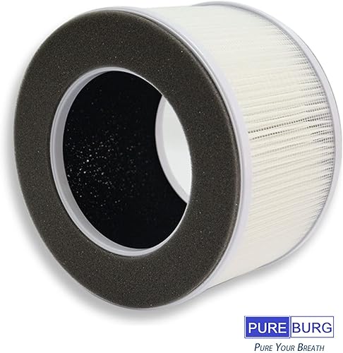PUREBURG Lot de 2 filtres HEPA de rechange 3 en 1 compatibles avec les purificateurs d'air Greenote AP10 - Nail Gallerys