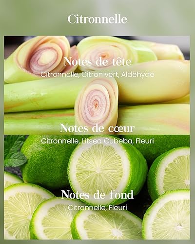 M&SENSE Bougie Parfumées Citronnelle | Bougies en Soja Bio 220h Anti-Moustiques, Parfum Frais pour Terrasse, Piscine & Barbecue - bougie de XXL extérieur grandes, Cadeau pour Amateurs de Plein Air - Nail Gallerys