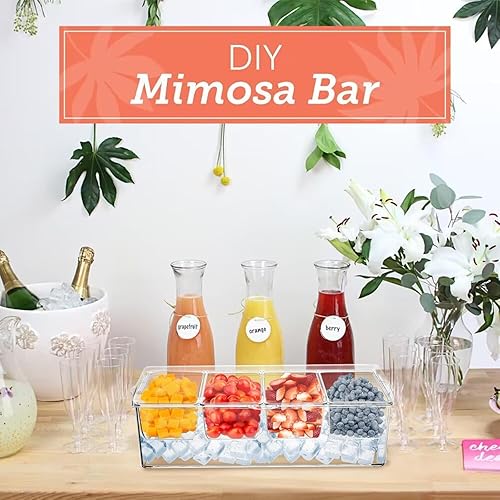 Jucoan Grand serveur à condiments glacés avec couvercle et 4 compartiments amovibles, en plastique transparent avec couvercle - Nail Gallerys