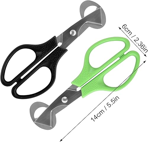 volumoon Ciseaux à Œufs de Caille, Oeuf Shell Cutter, Diviseur d'Œufs, Ouvre-Oeufs de Caille en Acier Inoxydable, Ciseaux pour la Cuisine, Outil de Cisailles à Oeufs, Vert, Noir - Nail Gallerys