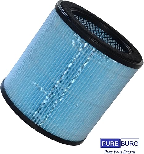 PUREBURG AP0601-RF Lot de 2 filtres de rechange compatibles avec purificateur d'air AIRTOK AP0601, charbon actif HEPA H13, filtration en 3 étapes, purification de l'air, poussière et COV - Nail Gallerys