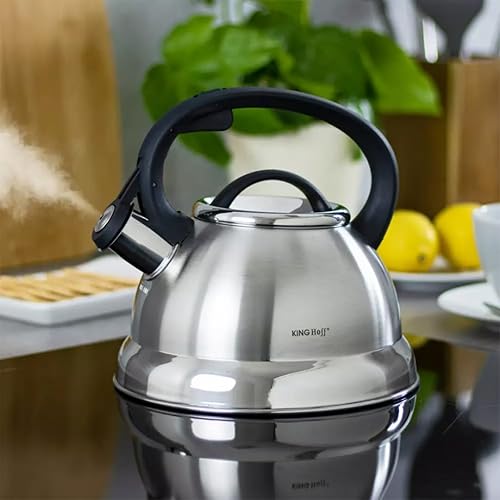 Bouilloire sifflante inox brossé 2,2L induction - Nail Gallerys