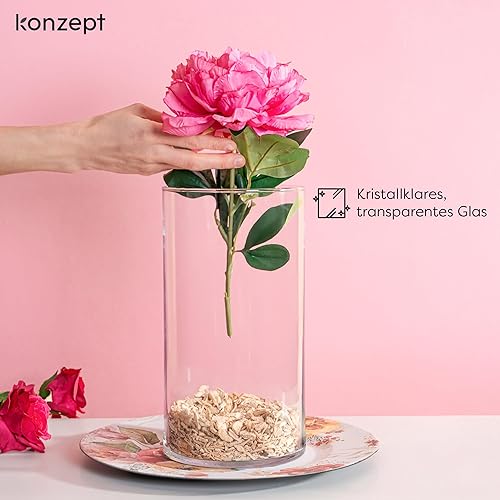 KONZEPT Vase cylindrique en verre (30 cm de haut, Ø 16 cm) – Grand vase transparent pour décorations dans les magasins de fleurs, idéal pour les fleurs fraîches, artificielles et séchées - Nail Gallerys