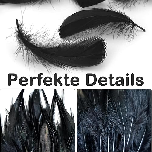 ARROMI Lot de 300 plumes noires, attrape-rêves noires, pour bricolage, attrape-rêves, costumes, mariages, Halloween, décorations de fête (5 styles) - Nail Gallerys