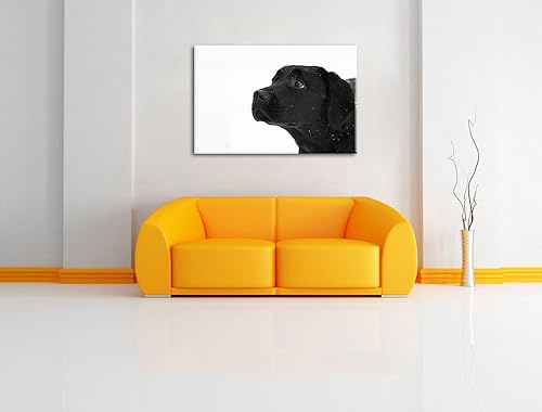 Labrador noir dans la neige Toile, XXL photos complètement encadrée avec de grandes images de coin, art impression sur la photo murale avec cadre, moins cher que la peinture ou une peinture à l'huile, pas une affiche ou bannière - Nail Gallerys