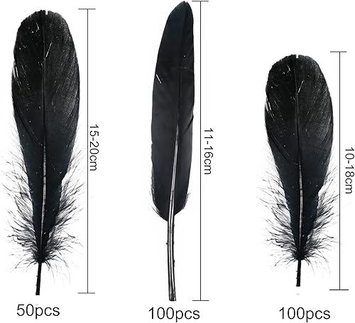 GGISUI 250 Pièces Plumes Noire Plumes d'oie de l'artisanat Naturel Plumes d'Artisanat Décorations 3 Tailles pour Loisirs créatifs Attrape-rêves Boucles d'oreilles Mariage Festival décoration - Nail Gallerys