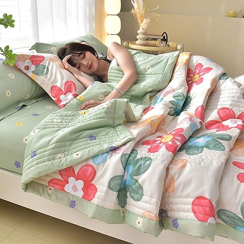 WxiaoD Couvre Lit Matelassé, Couette Légères Et Respirantes pour L'été, Réversible Dessus de Lit Couette Couette climatisation pour Enfant et Adult pour Toutes Les Saisons (200x230cm,H) - Nail Gallerys