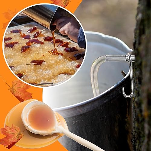 Robinets en Acier Inoxydable pour Érable - Robinet pour Arbre À Sève De Sirop D'érable, Filtre pour Sirop D'érable Synthétique, Accessoires De Collecte De Sirop D'érable Et De Bouleau - Nail Gallerys