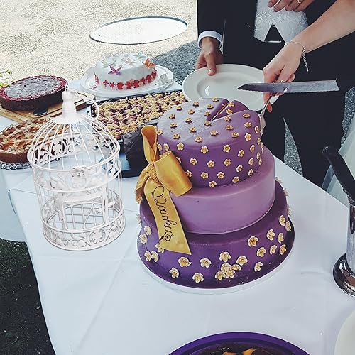 Luxshiny Cage À Oiseaux Décorative en Fer Décoration De Vitrine pour Fête De Mariage (Blanc) - Nail Gallerys