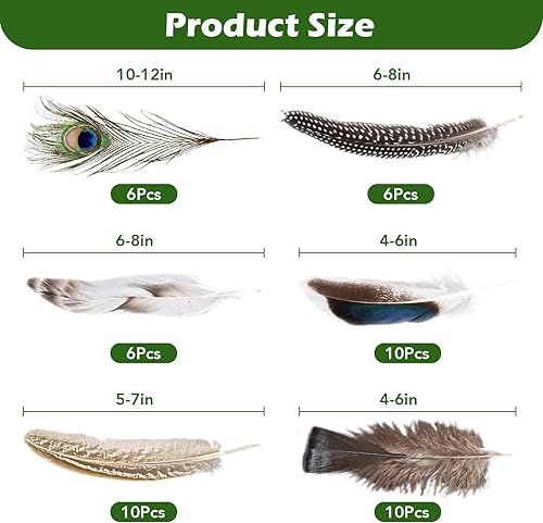 TNEDFOD 48 Pièces Plume Decoration, Plumes Duveteuses Plumes D'oiseaux pour Loisirs Créatifs DIY Dreamcatcher Bricolage Fête de Mariage, Décoration D'intérieur - Nail Gallerys