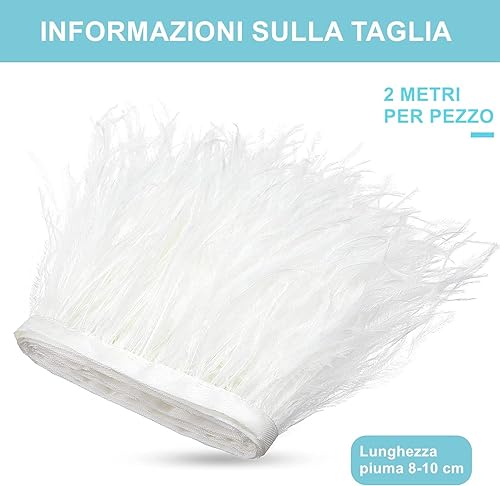 Norhogo Ourlet à Franges en Plumes d'Autruche Avec Ruban de Satin pour Robe, Déguisement, Costumes, Carnaval, Halloween, Décoration de Bricolage, Blanc - Nail Gallerys
