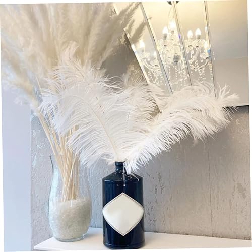 Hilai Embellissements, Plumes d'autruches Naturelles pannemies de Plumes Blanches pour centres de Table 10pcs - Nail Gallerys