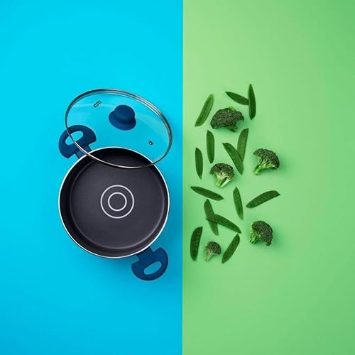 Tasty 678540 Casserole à induction avec dosage d'huile et couvercle, casserole, faitout, faitout à induction, Aluminium pressé, Polyester silicone, Verre, Greblon® C3, Gris, Bleu, 24 x 18 cm - Nail Gallerys