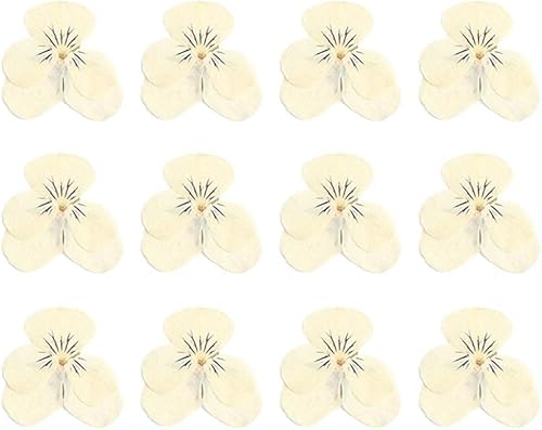 12 pièces/Sac pensée Fleur pressée Bricolage à la Main Fleur séchée Coque de téléphone Colle matériel pensée séchée Fleur - Nail Gallerys