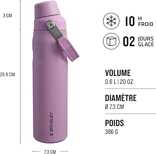 Stanley Aerolight IceFlow Fast Flow Gourde Sport Isotherme 0.6L - Froid Pendant 10 Heures - Couvercle Étanche et à Écoulement Rapide - Lavable au Lave-Vaisselle - Sans BPA - Fog Metallic - Nail Gallerys