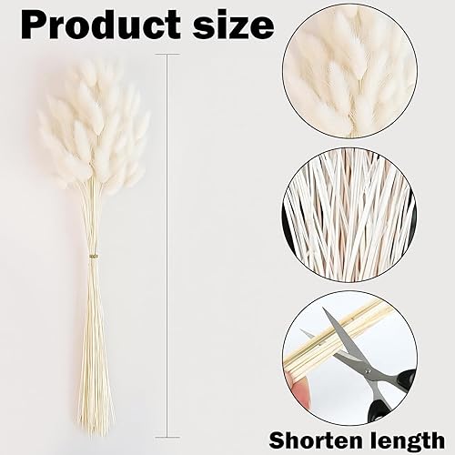 120 têtes de Fleur Seche Fleurs Sechees Queue de Lapin Fleur Séchée Herbe de Queue de Lapin Séchée pour la Décoration de la Maison Décoration de Salle D'événement de Mariage(Blanc) - Nail Gallerys