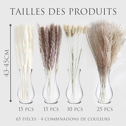 Pampa (65pcs) - Pampas Sechees Decoration - Décoration Intérieur - Qualité Garantie - Mariage / Evenements /Déco / Anniversaire - Nail Gallerys