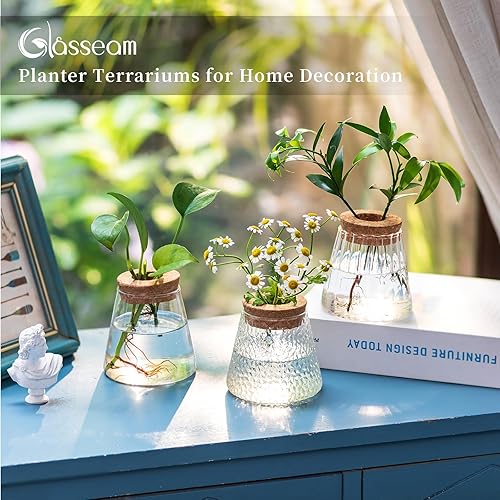 Glasseam Plantes Terrarium Verre pour Maison: Vase Hydroponique Set De 3 pour Salon Serre Table Fenêtre - Terrarium Plante Transparent Vases avec Bouchon pour Boutures Hydroponie Soliflore - Nail Gallerys