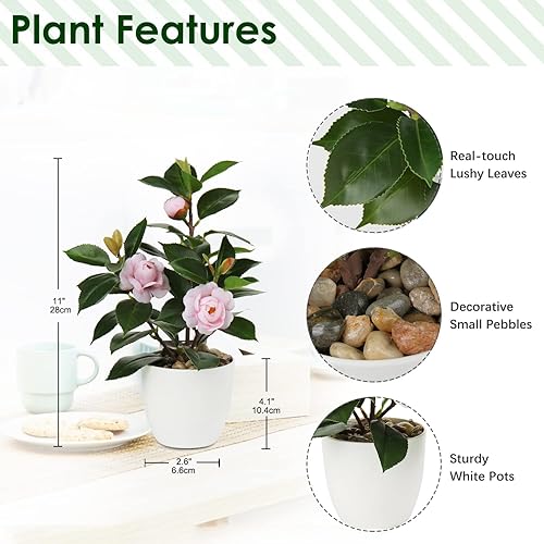 22 cm Plantes Artificielles en Pots pour la Décoration de la Maison Camélia Artificiel Plante d'intérieur, Arrangements Floraux Décoration de la Maison et du Bureau Bonsaï de Bureau - Nail Gallerys